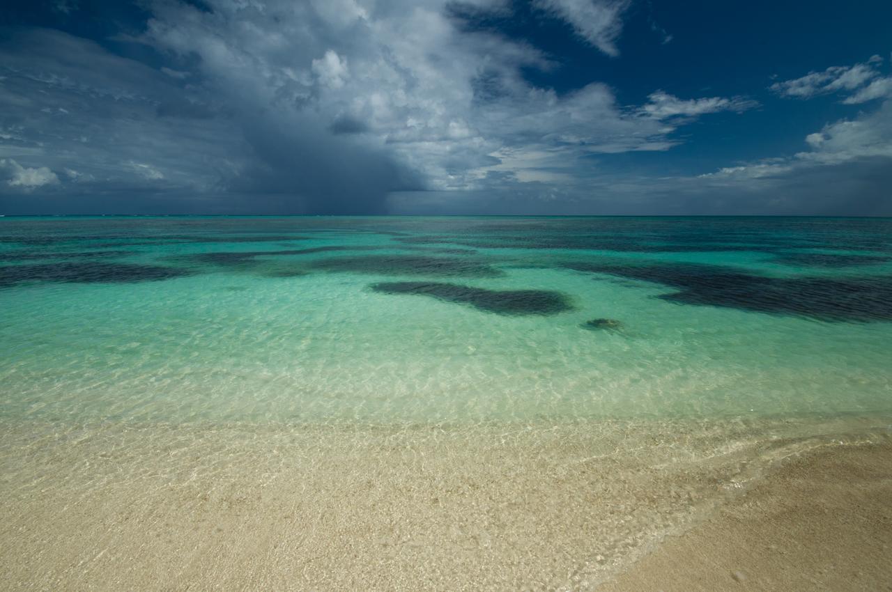 Pavoreal Beach Resort Τουλούμ Εξωτερικό φωτογραφία